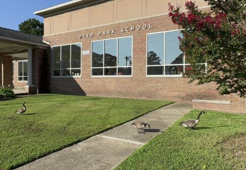 Deer Park Elementary School